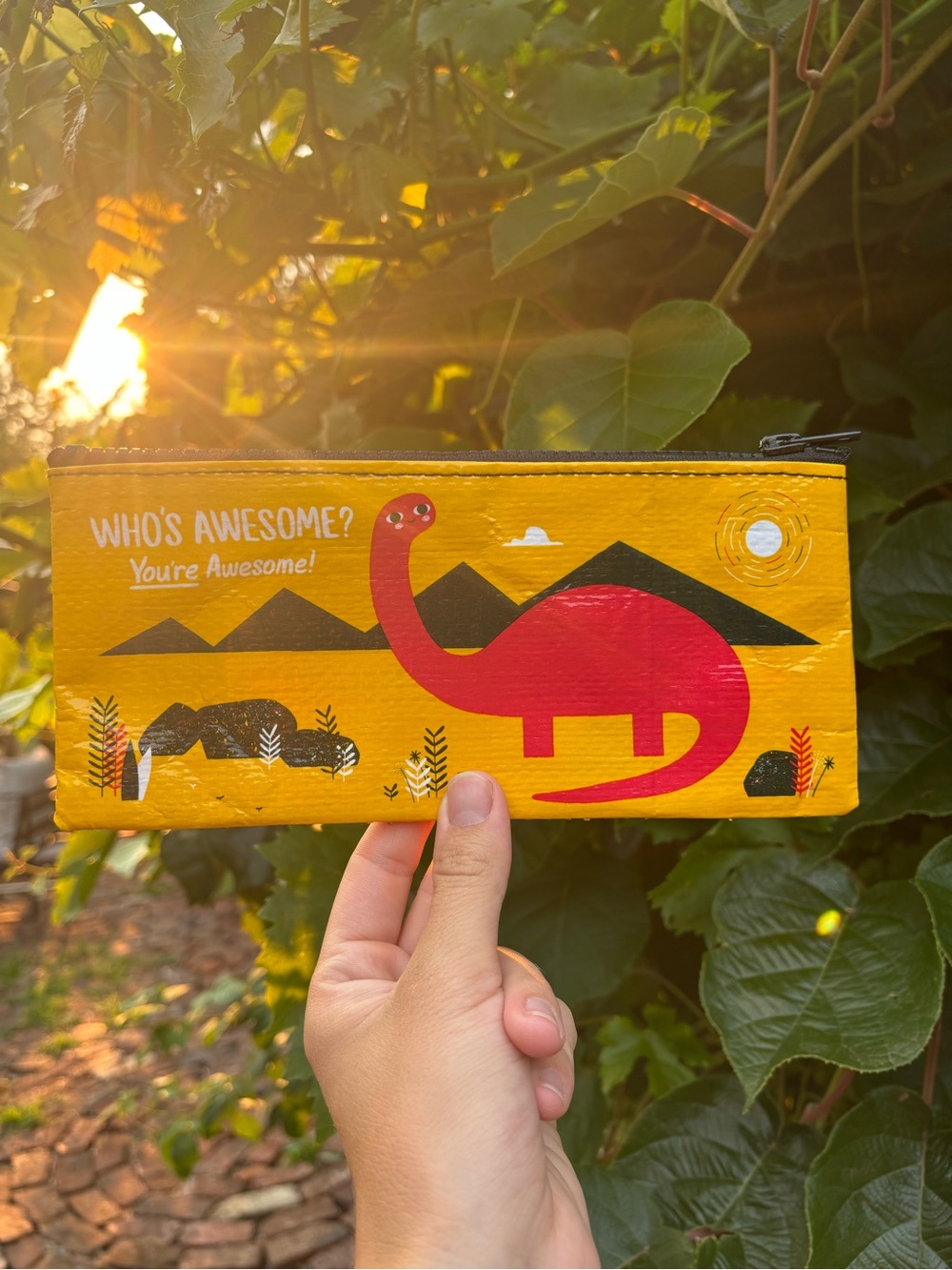 Blue Q Yellow & Black Zip Pouch with Dino Label